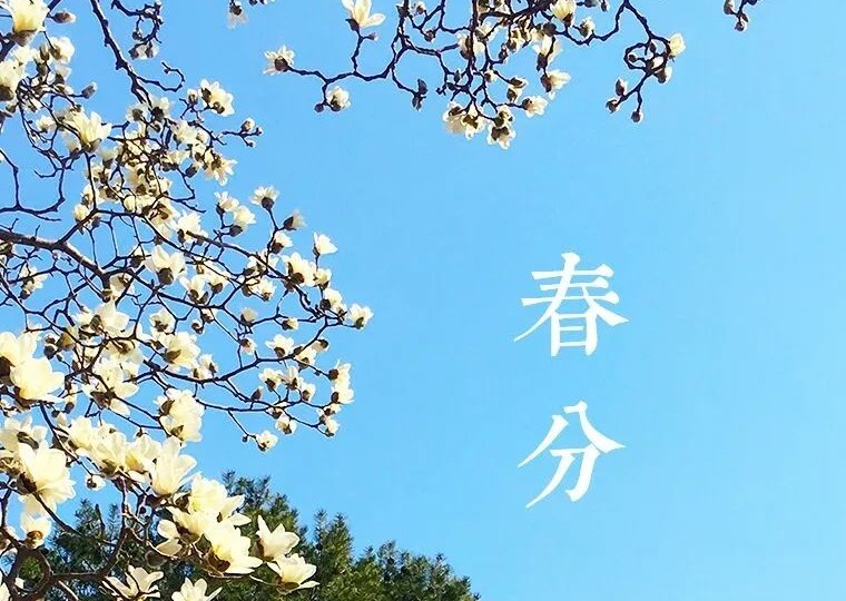 今日春分。